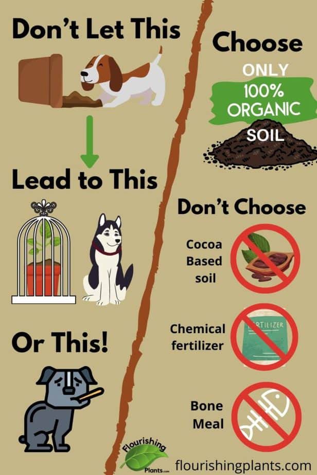 is potting soil harmful to dogs