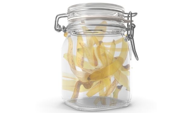 Using Banana Peel Water For Plants The Benefits Explained Flourishing Plants