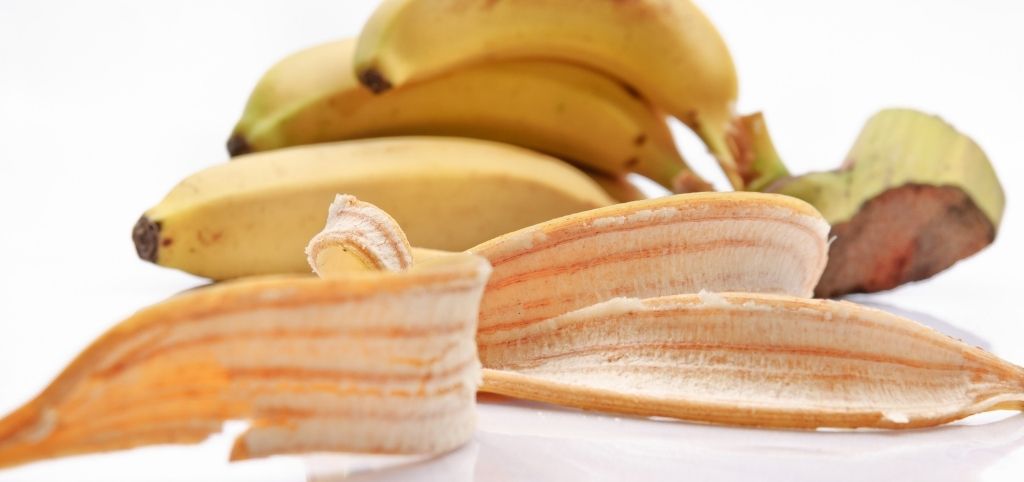 Using Banana Peel Water for Plants: The Benefits Explained