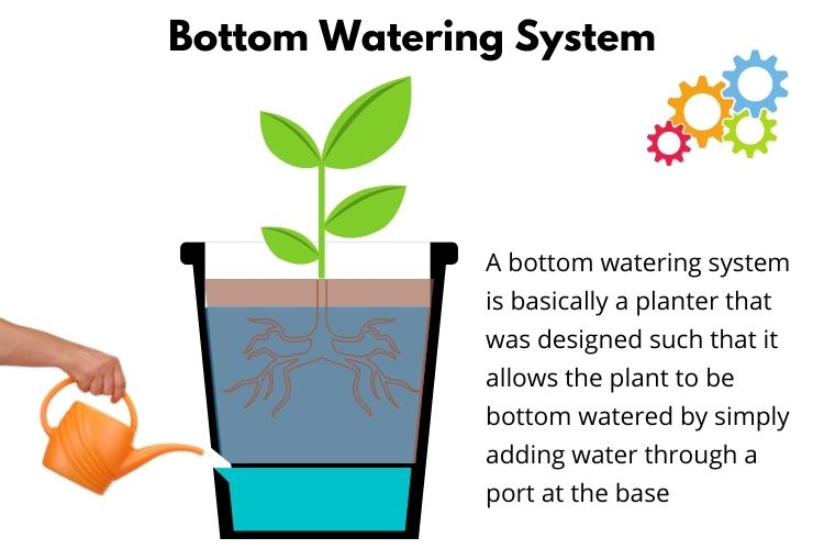 amendment for bottom watering seedlings