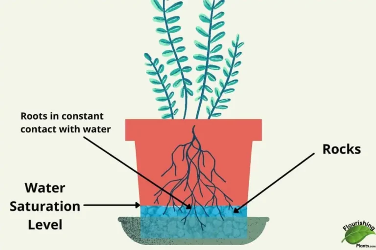 Do no use rocks at the bottom of pot