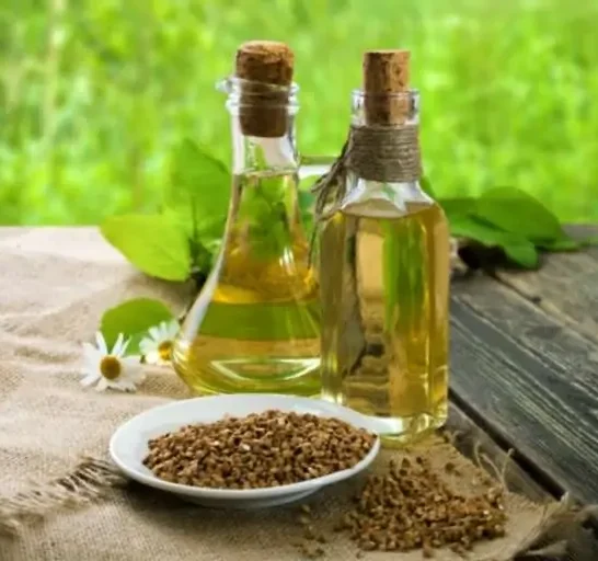 Using vegetable oil on plants