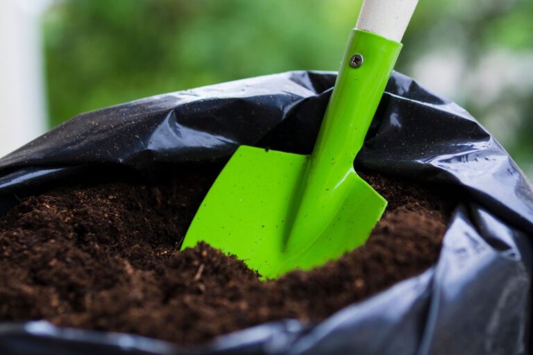 Best Soil for Grow Bags The Mix that Works Flourishing Plants