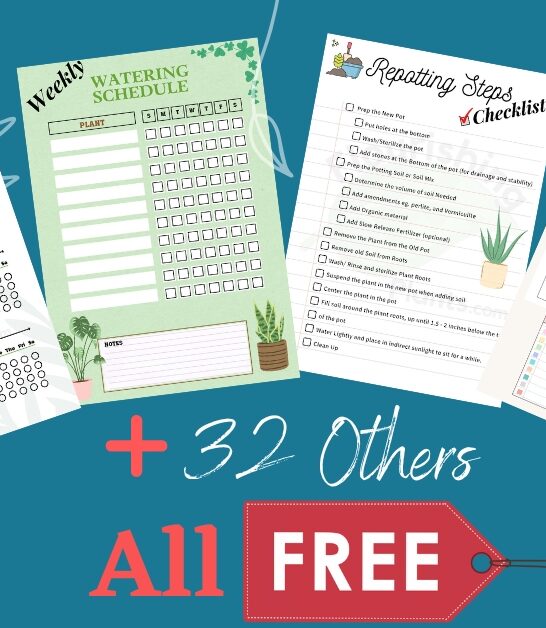 Plant care digital downloads Social share Free