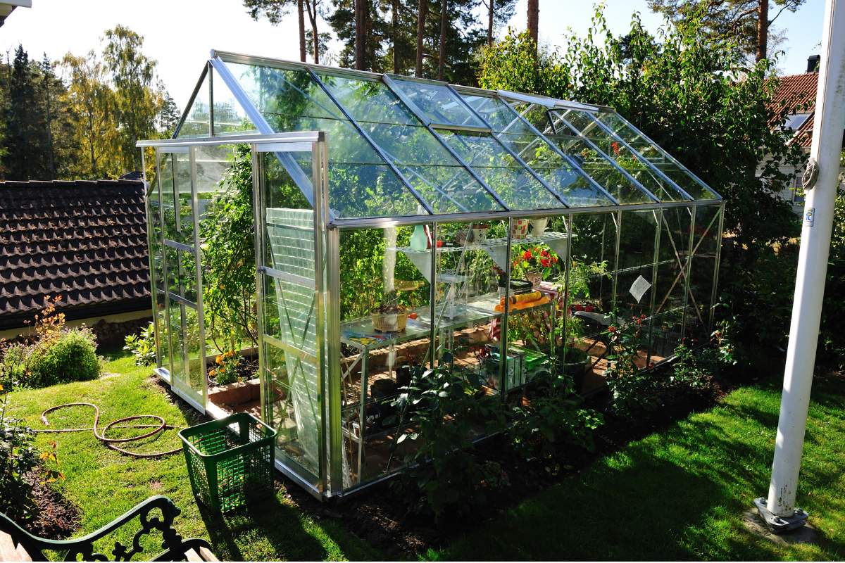 Is A Greenhouse Worth It The Pros and Cons Explained Flourishing Plants