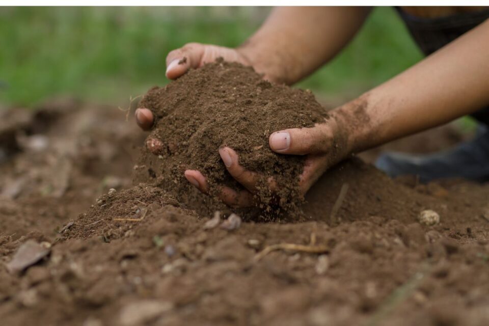 Best Soil For Growing Grass: Loam! Here's Why it's the Best ...