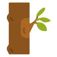 Propagation