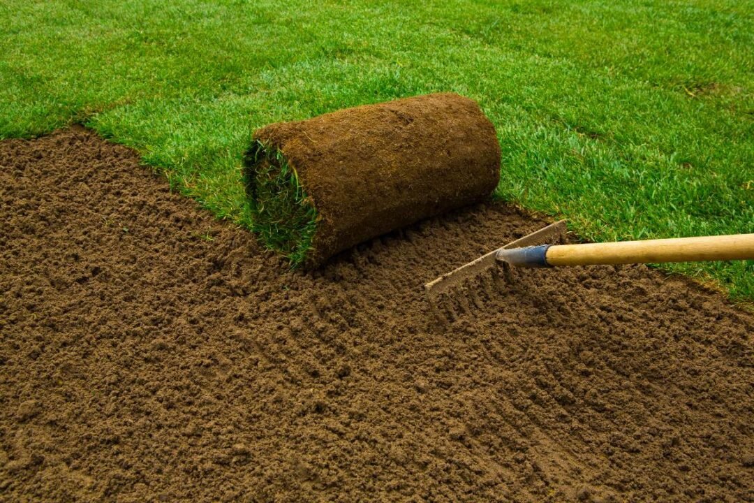 Using Garden Soil to Grow Grass: Grow Healthier Grass Fast