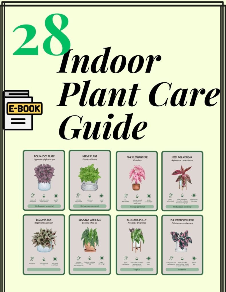 28 Indoor Plants Ebook Guide