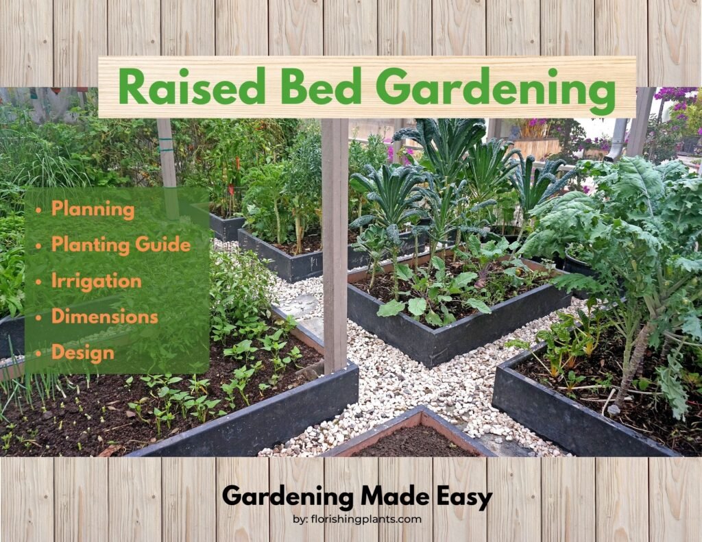Raised bed Layout Design