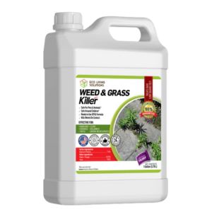 Using Vinegar On Plants: Correct Strength and Mixing Ratios