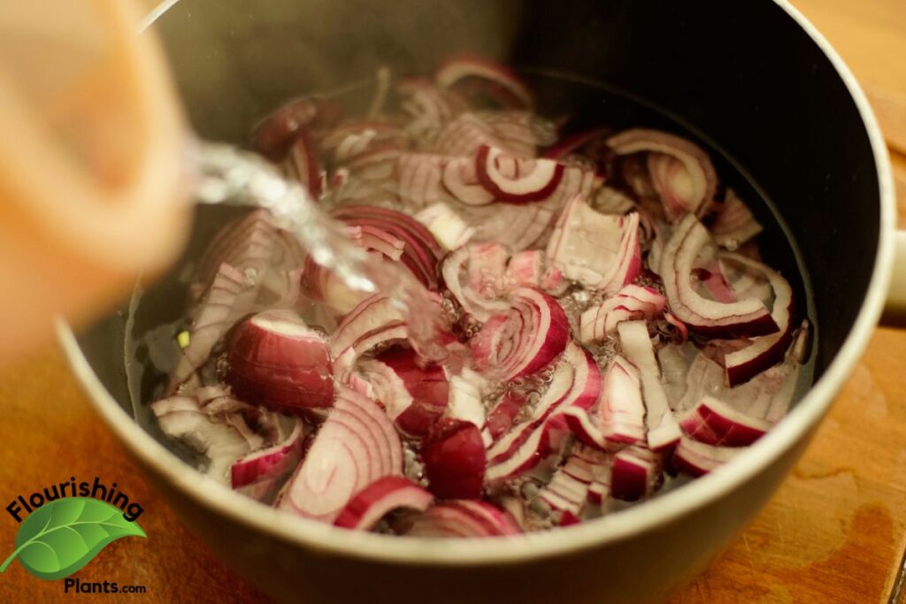 Onion Water for Plants: 7 Uses, Benefits, and How to Make It Onion WATER FOR PLANTS