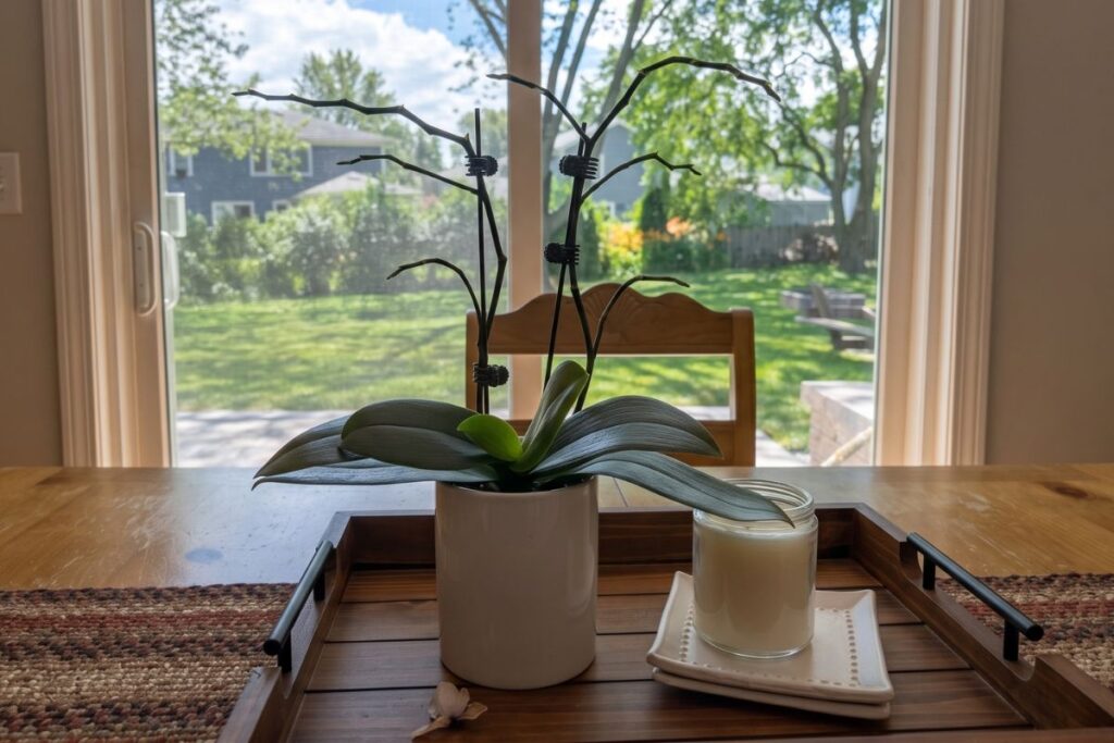 Orchid Flowers Falling Off: Why & How to Stop It Orchid flowers fallen of orchid plant